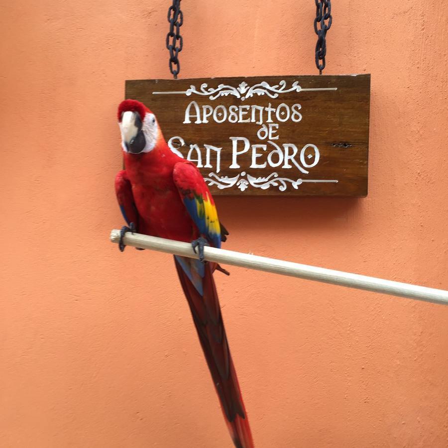 Hotel Aposentos De San Pedro Cartagena  Exterior foto